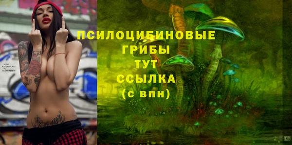 мет Нефтегорск